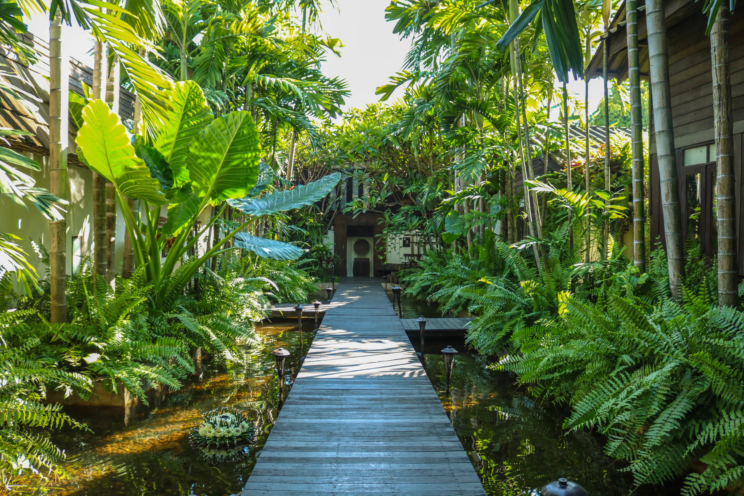 A road surrounded with green tropical trees leading to a hotel